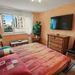 Super Au Coeur De Apartamento *